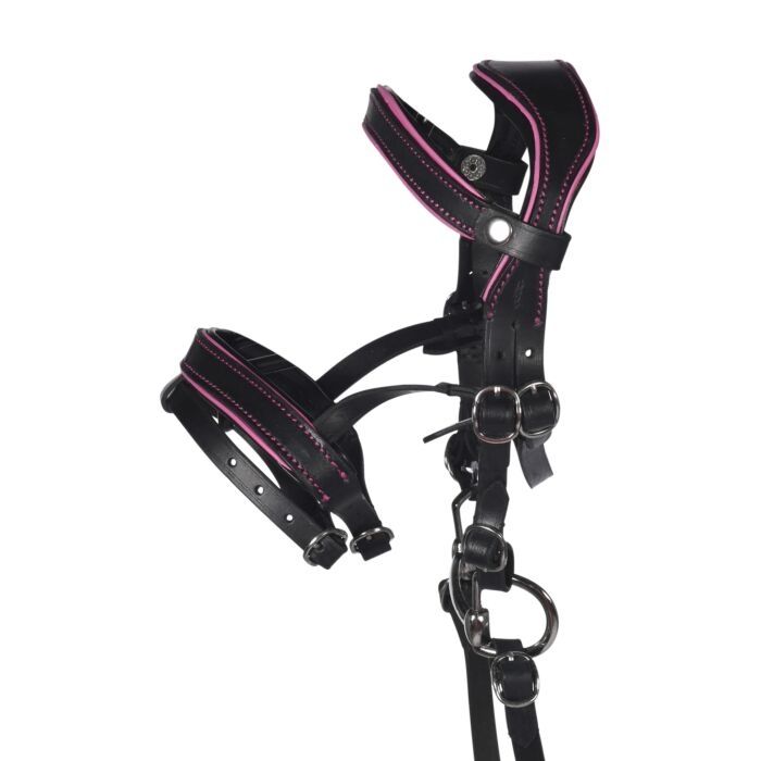 HKM Hoofdstel Manchester