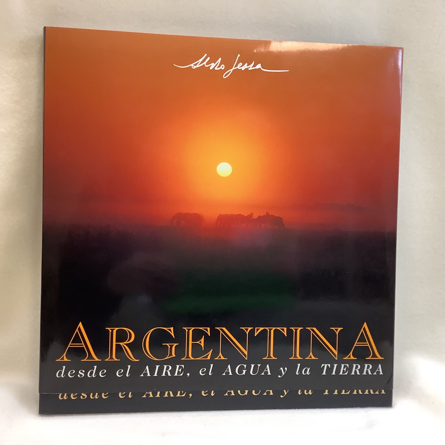 Argentina Desde El Aire, Agua y Tierra (Spanish Edition) Hardcover Book - RS4402