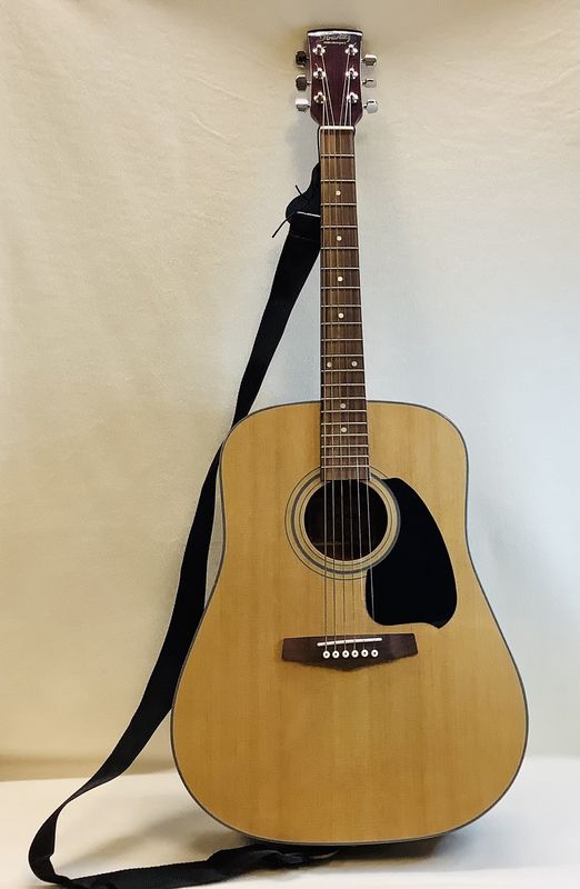 Vintage Ibanez PG4NT Natural Accoustic Guitar - RS5051