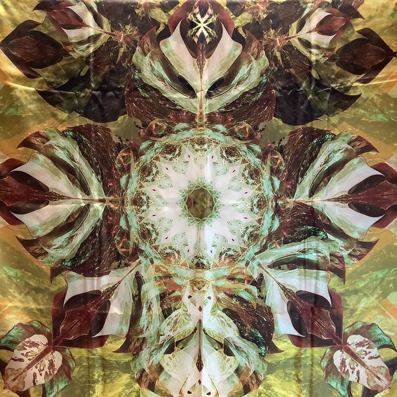DeSilk 100% Pure Mulberry Silk Scarf from the Nature of Dance Collection, Made in Vietnam - RS5059