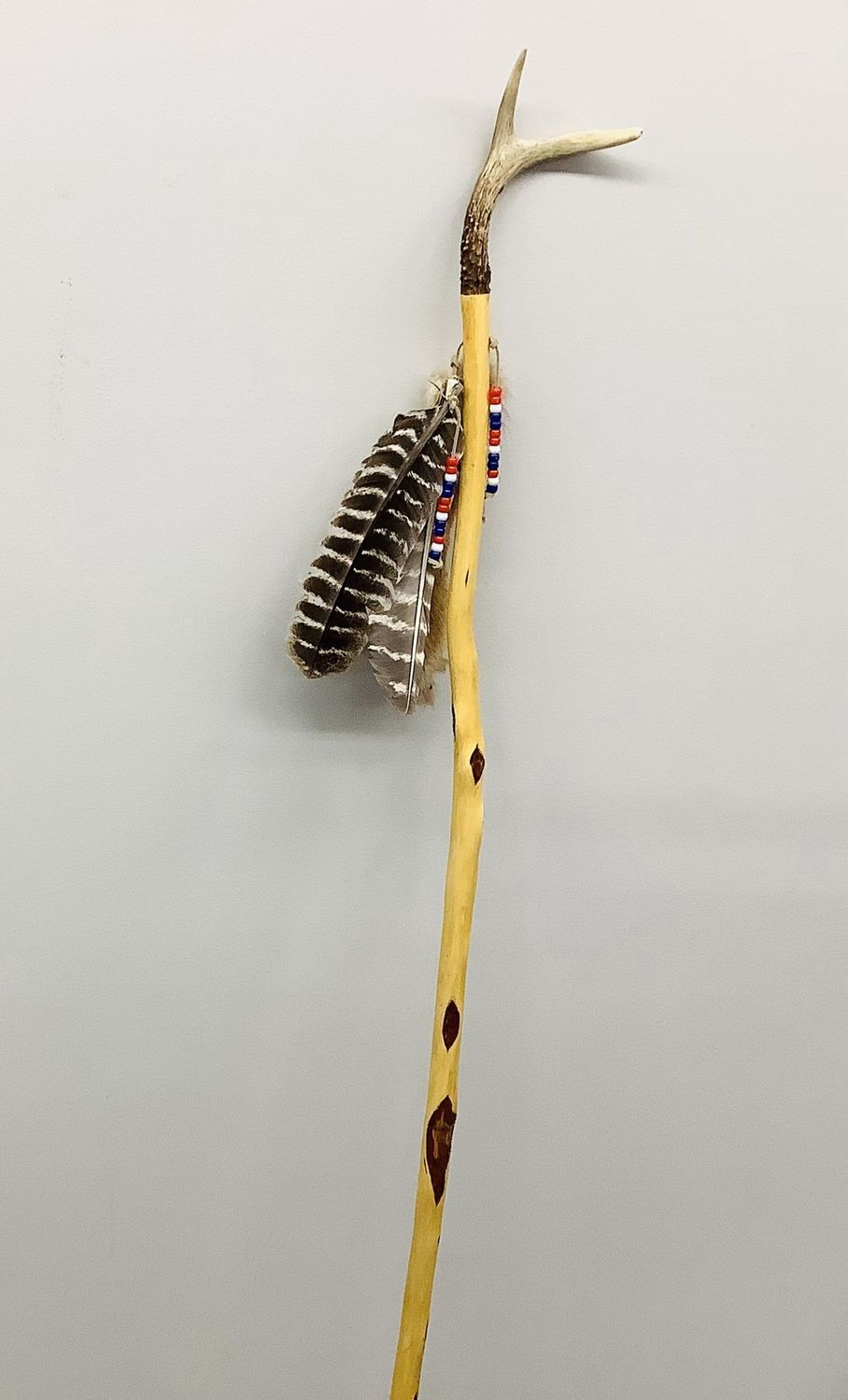 Handcrafted Walking Stick, Native American - RS5159