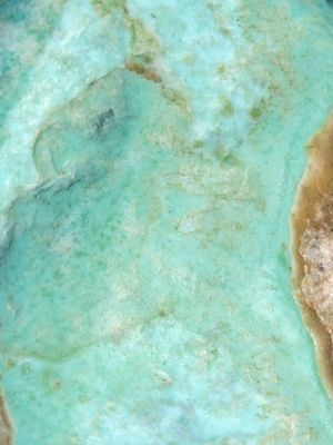 Jewelry & Accessories