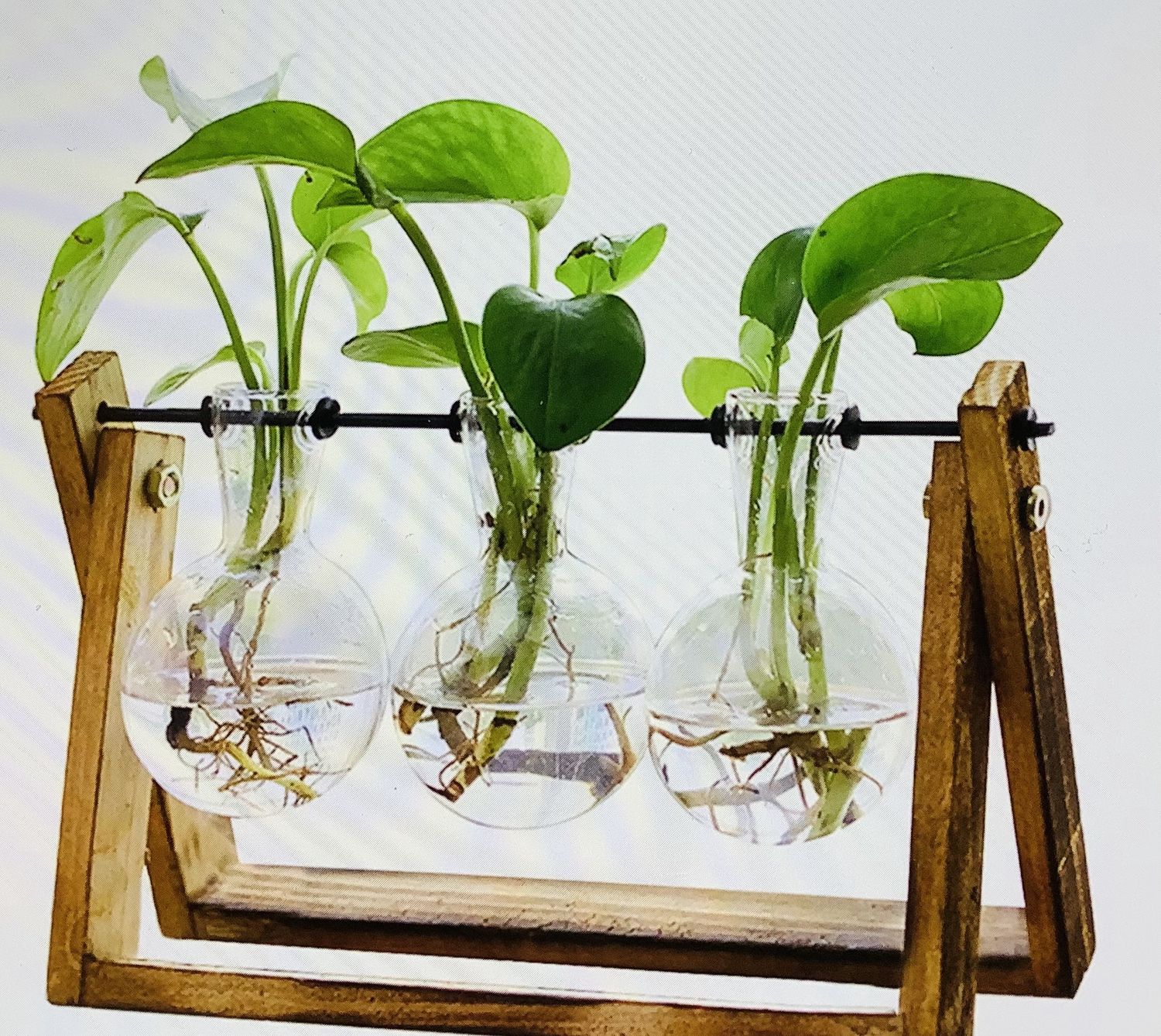 XXXFLOWER Plant Terrarium with Wooden Stand - RS5731
