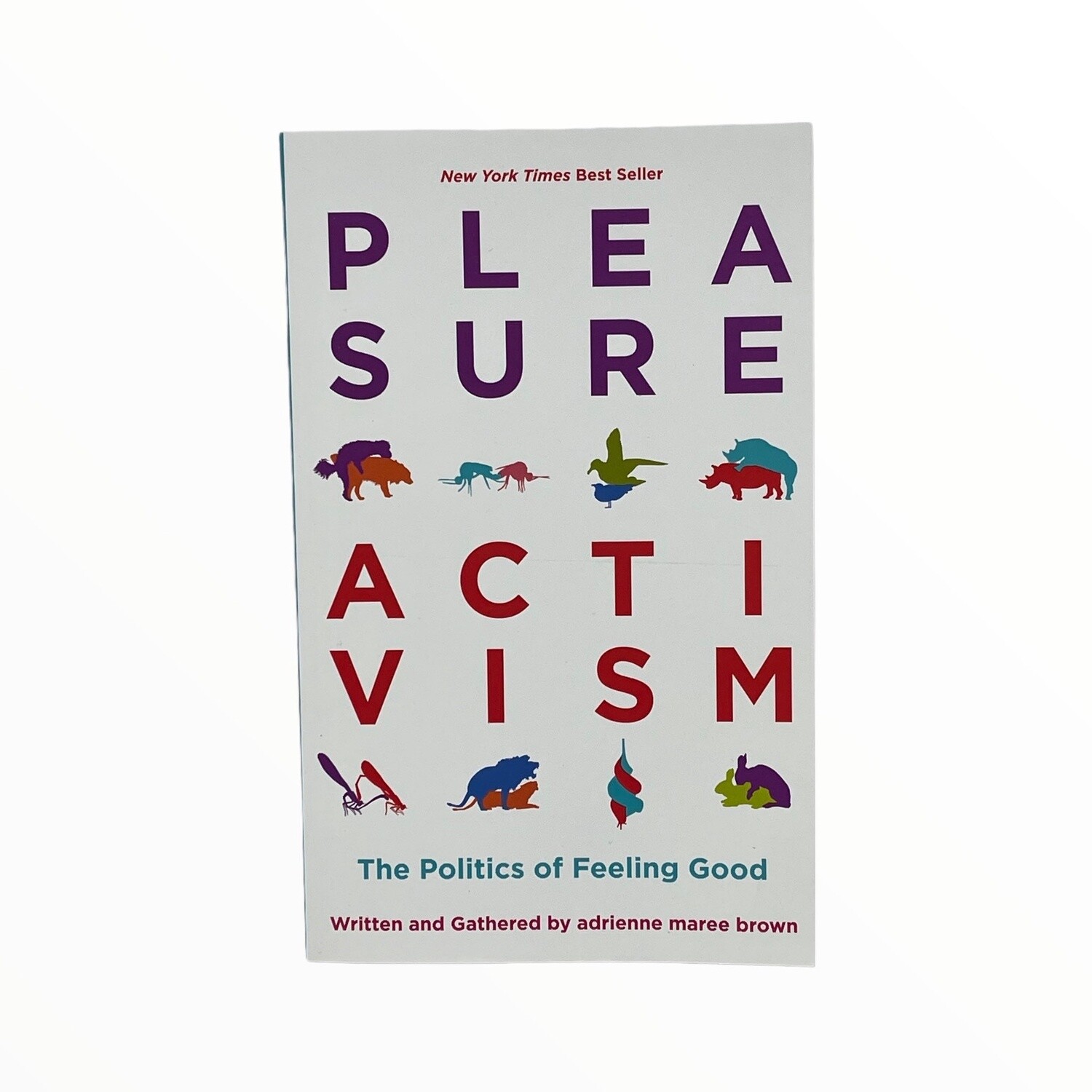 Pleasure Activism