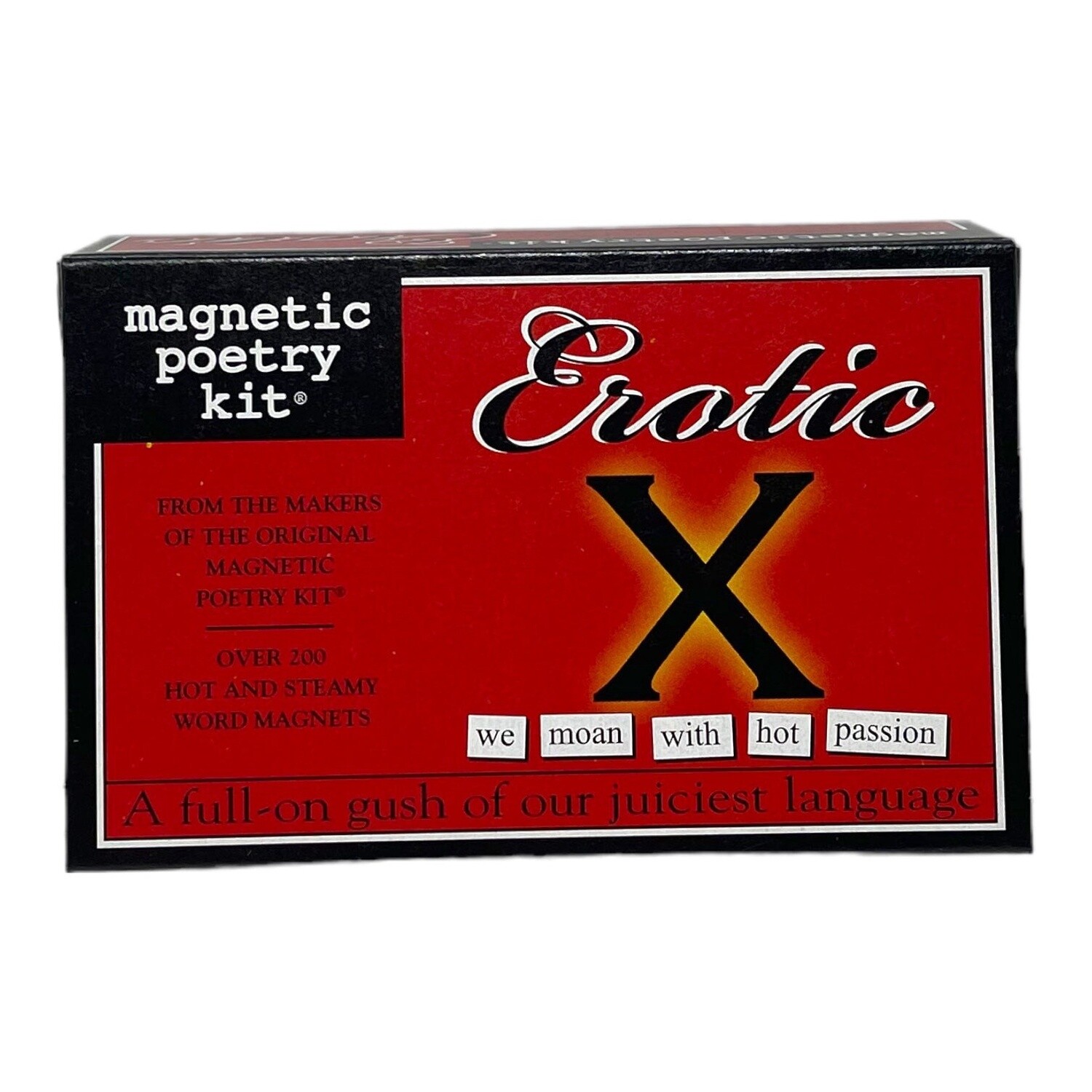 Erotic Magnetic Poetry Kit