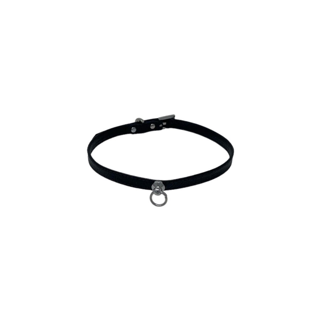 Leather &amp; Silver Mini Collar