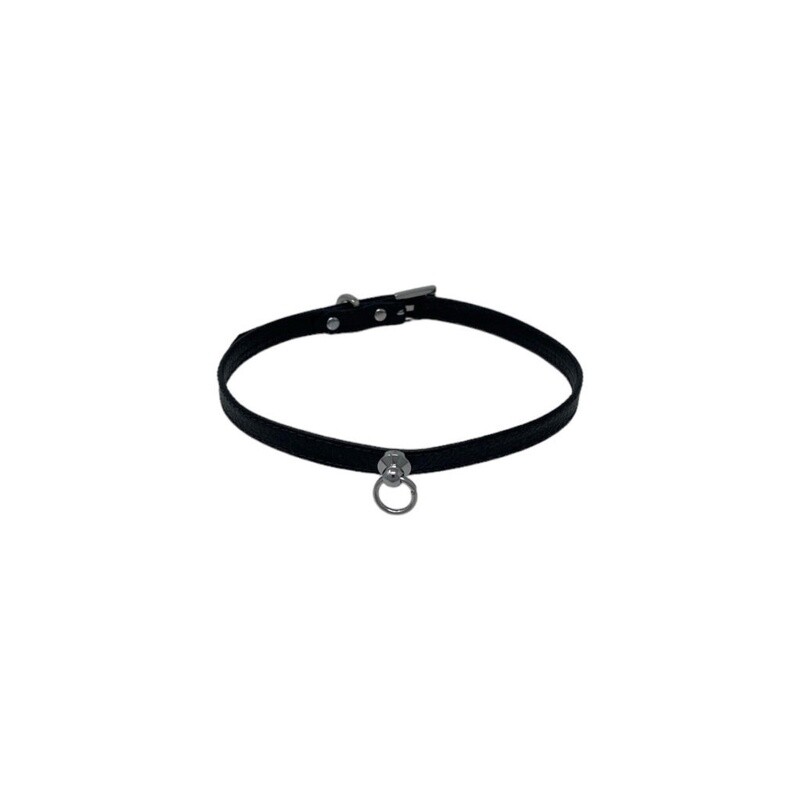 Leather &amp; Silver Mini Collar