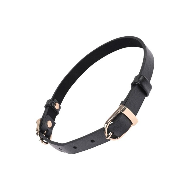 S&amp;M Double Buckle Day Collar