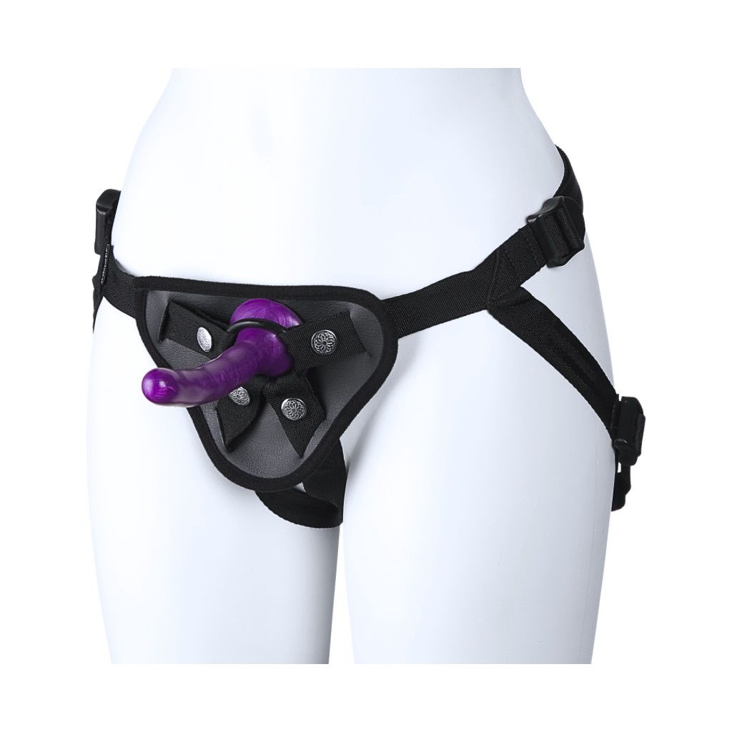 Sportsheets Anal Explorer Strap On Kit