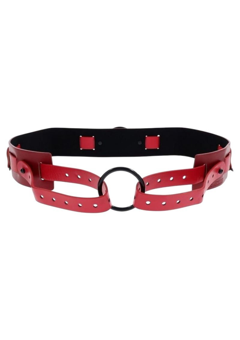 Sex &amp; Mischief Bound and Belted Waist Restraint