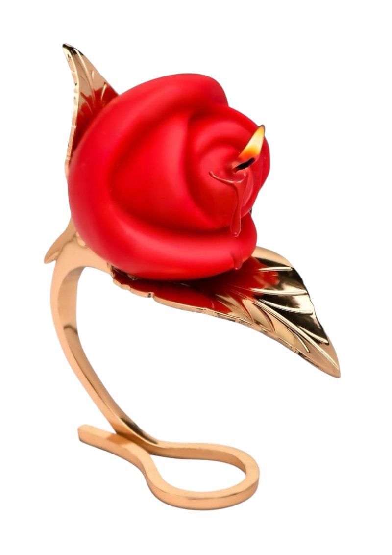 Burning Passion Rose Candle &amp; Holder