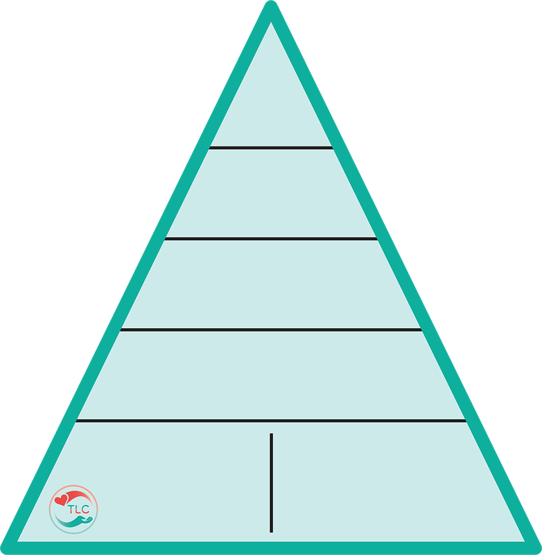 Vital Needs / Magic of 1 Triangle Wall Decal