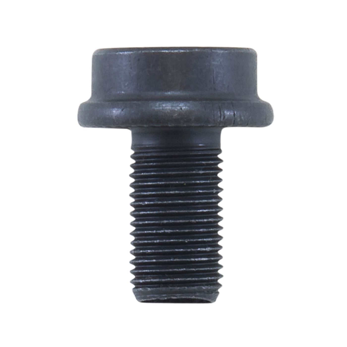C198 ring gear bolt.
