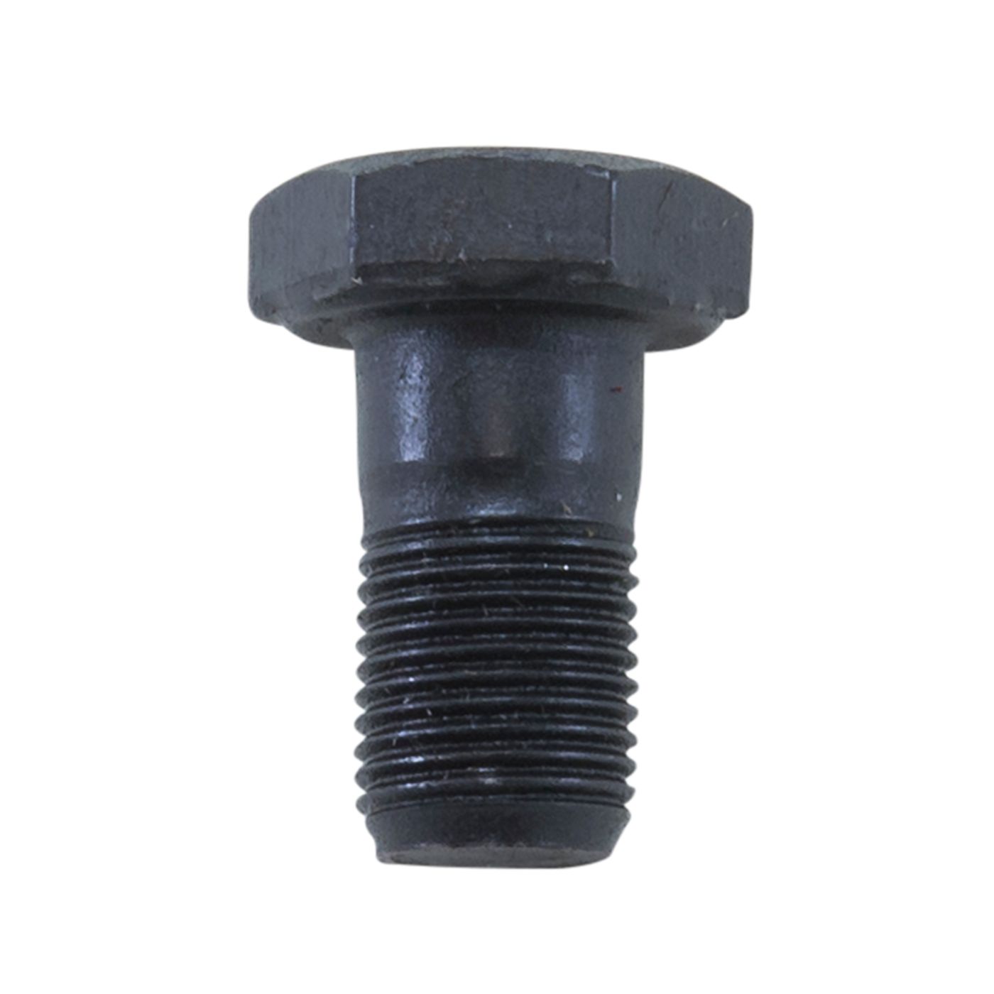 Ring Gear bolt