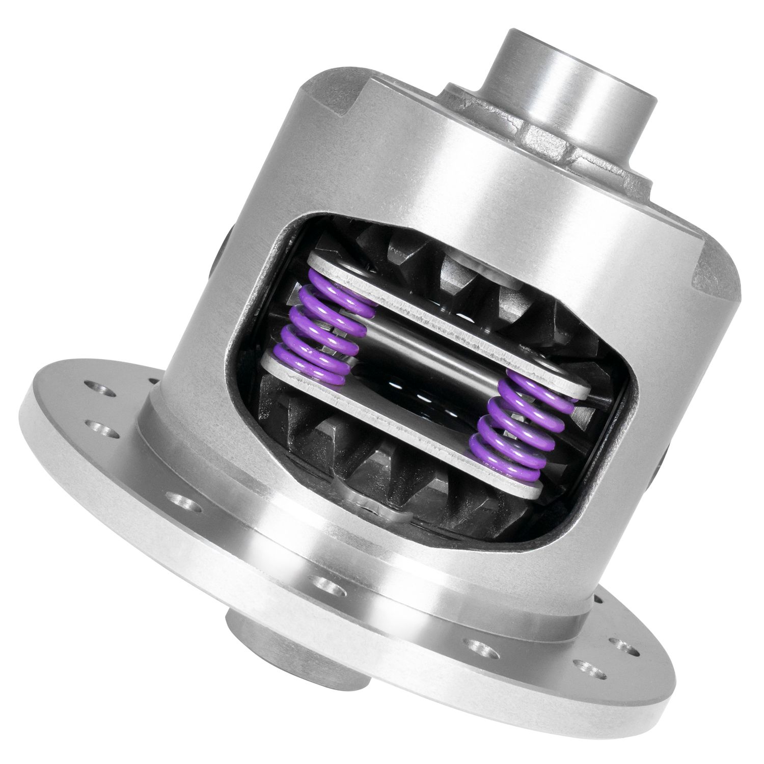 12P GM 4.10 & Up Dura Grip Limited Slip, 33spl, Composite Clutches