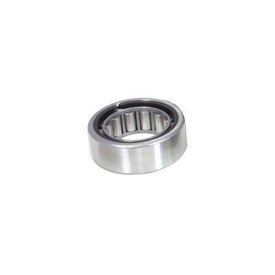 Pinion Pilot Bearing
