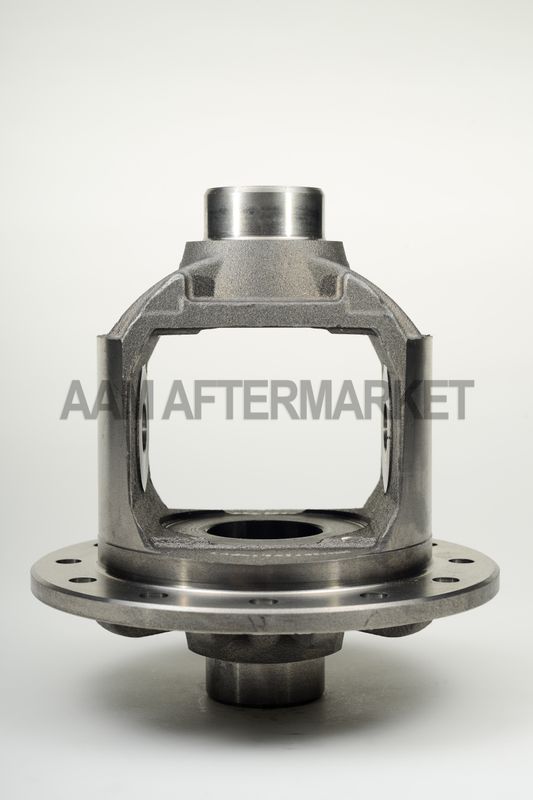 Differential Carrier