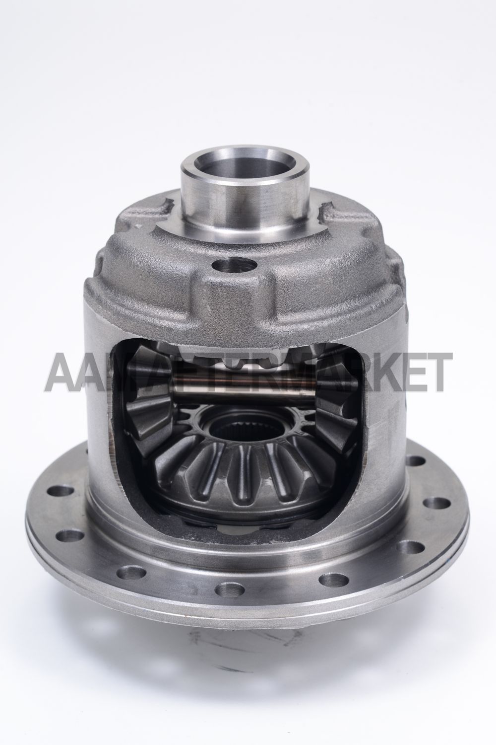 Differential Carrier