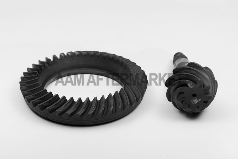 Differential Gear Set
