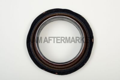 Gaskets and Sealing Systems