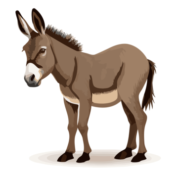 Donkey