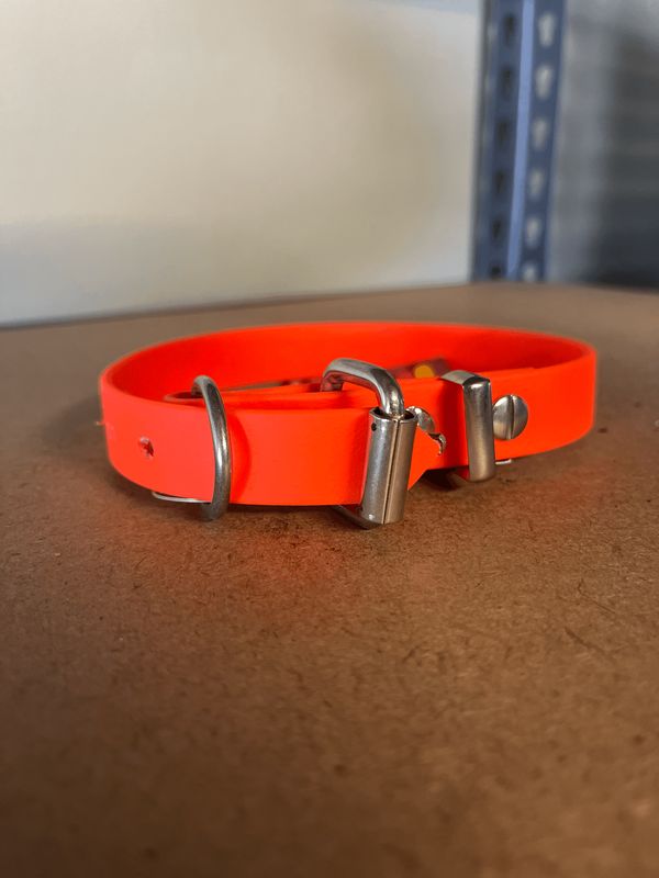 Puppy Collar Orange