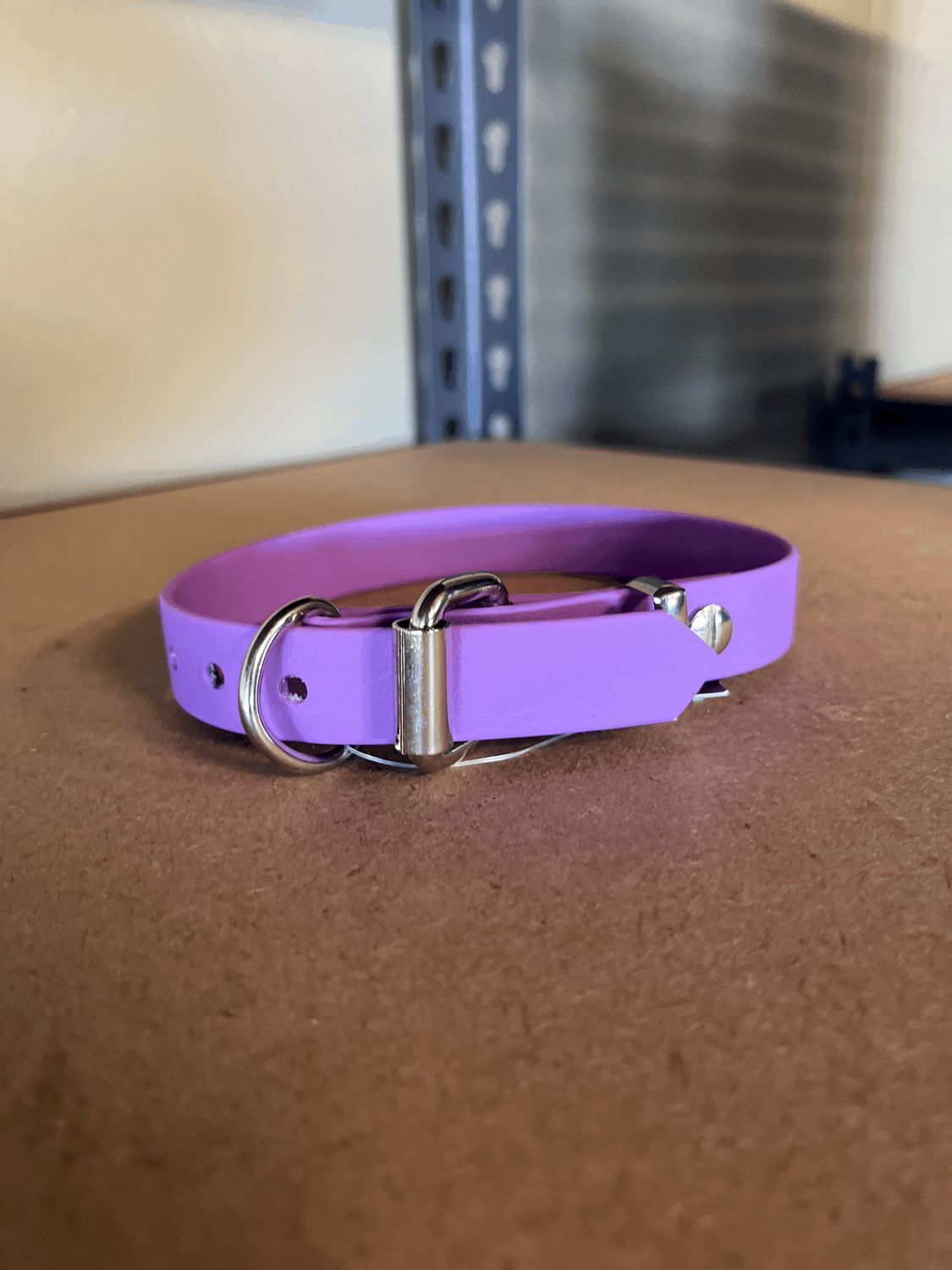 Puppy Collar Purple