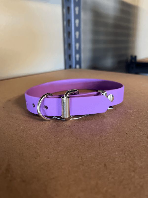Puppy Collar Purple