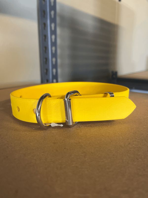Med/Lge Dog Collar Yellow