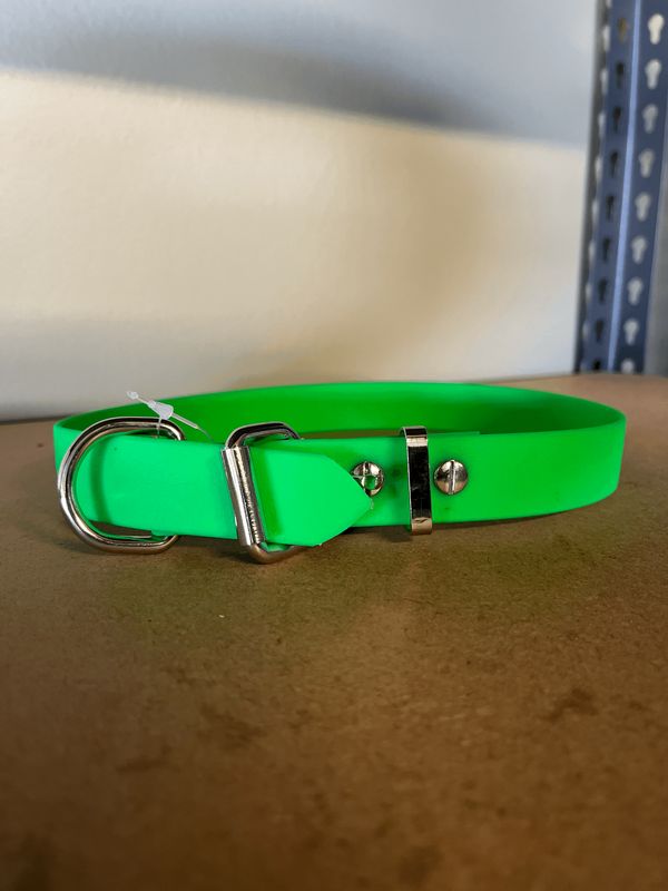 XL Dog Collar Green