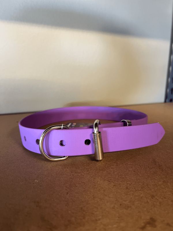 XL Dog Collar Purple