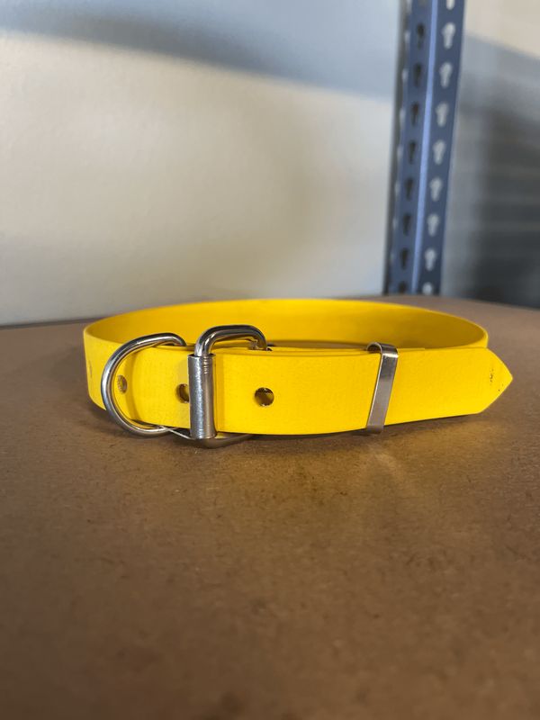 XL Dog Collar Yellow