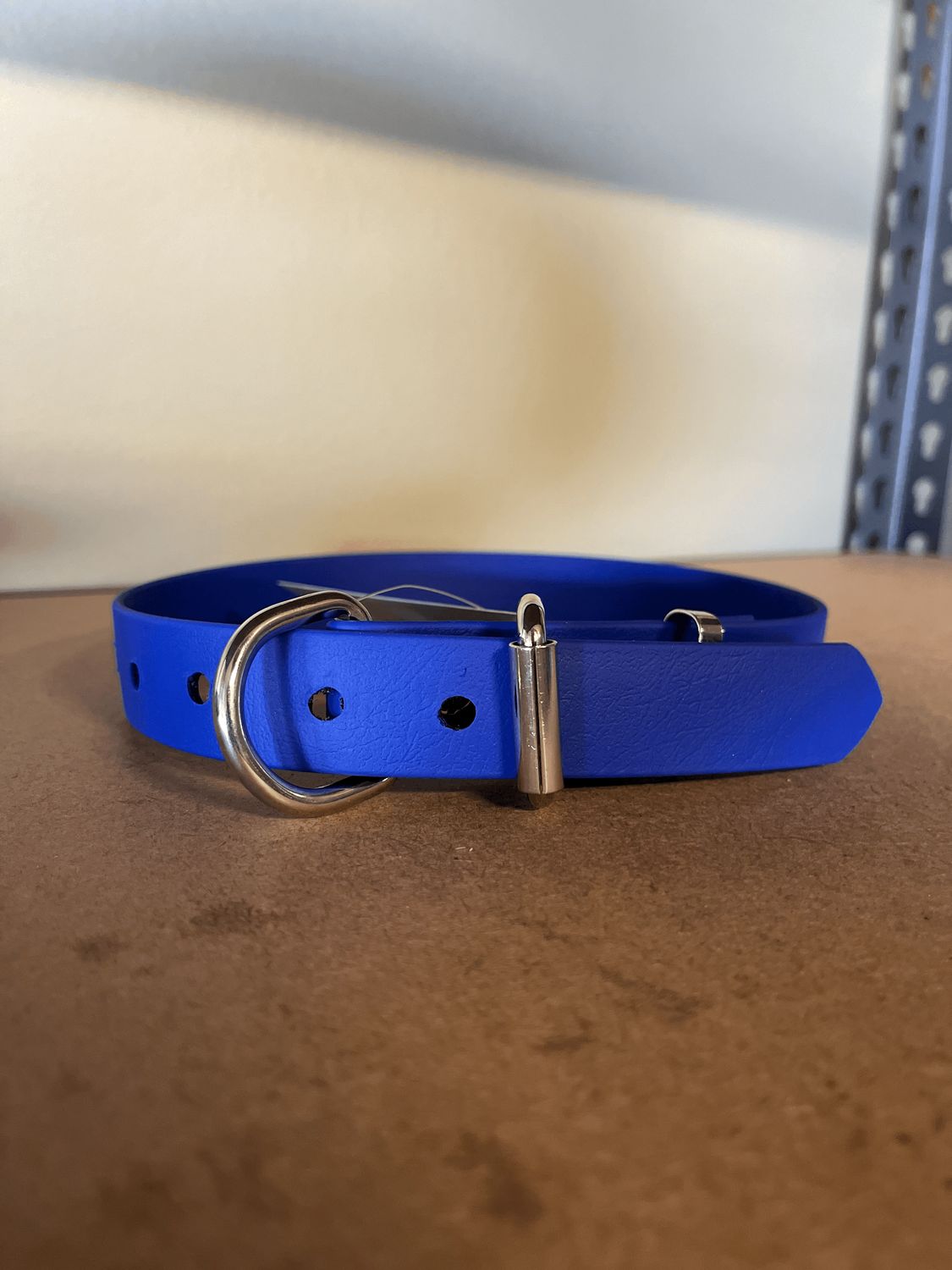 XL Dog Collar Navy