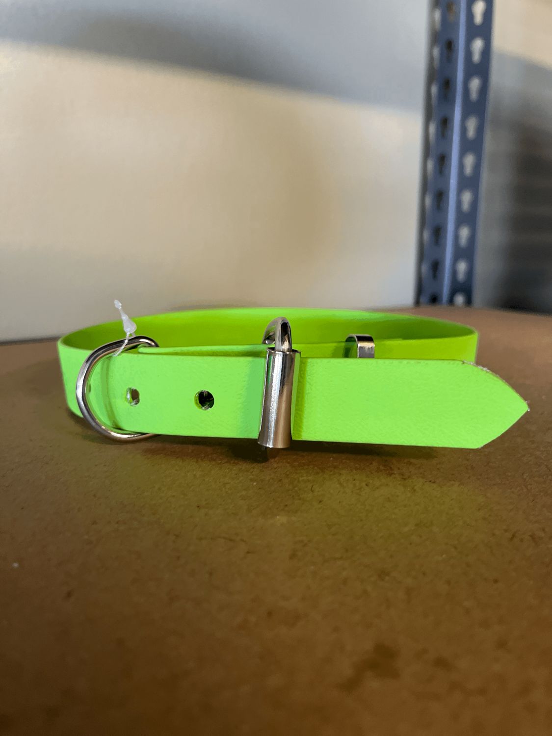 XL Dog Collar Lime
