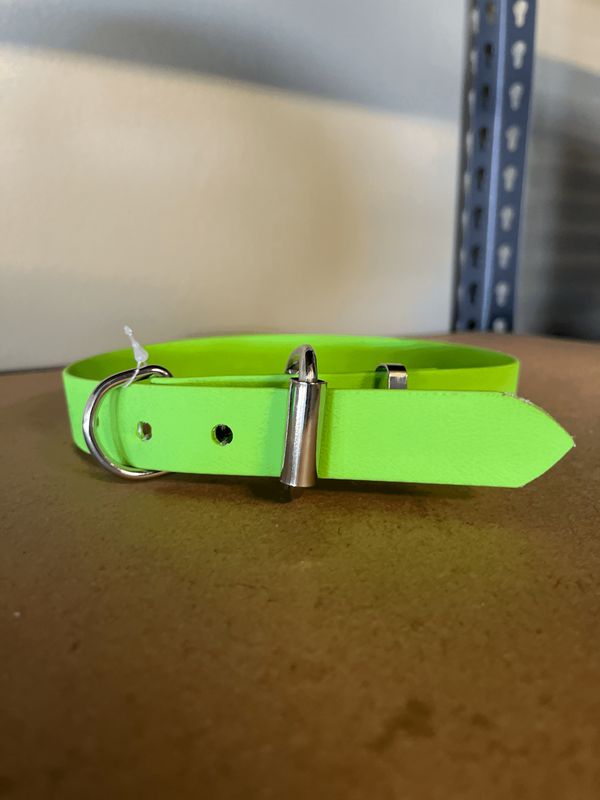 XL Dog Collar Lime