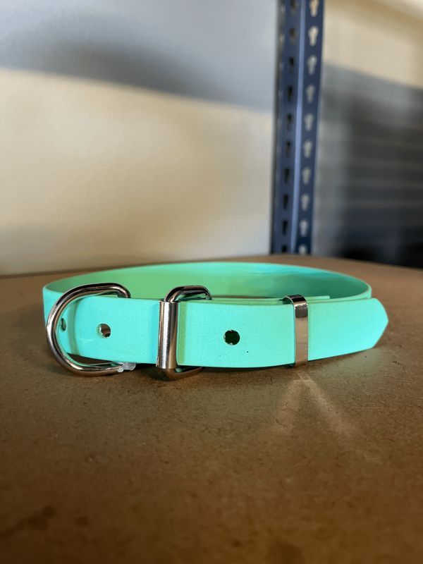 XL Dog Collar Mood Green