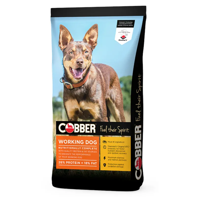 Cobber Working Dog 20kg
