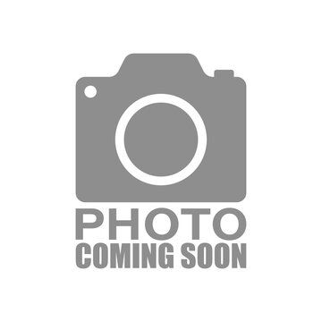 Fish jerky 120g
