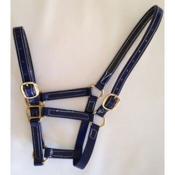Head Collar