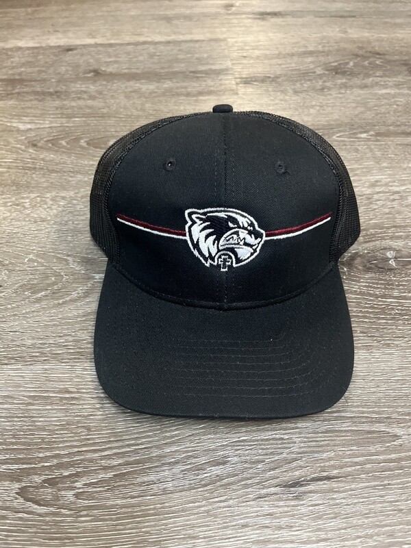 Black Wolverines Hat