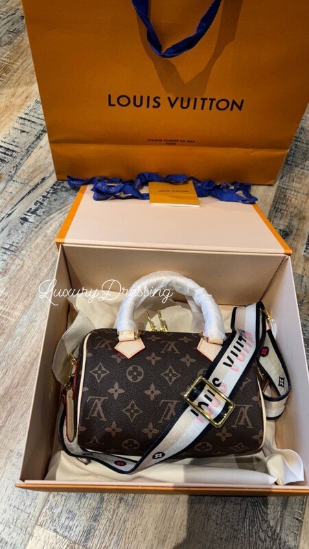 LV bag