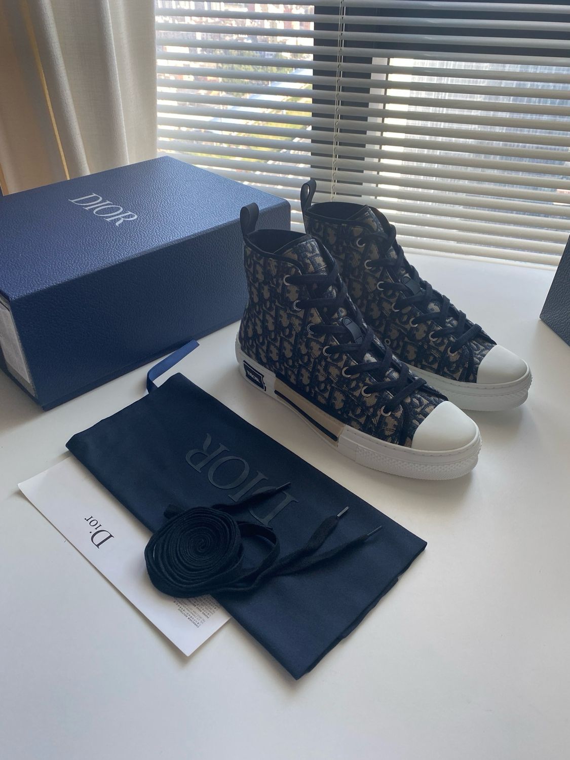 Dior B23 High