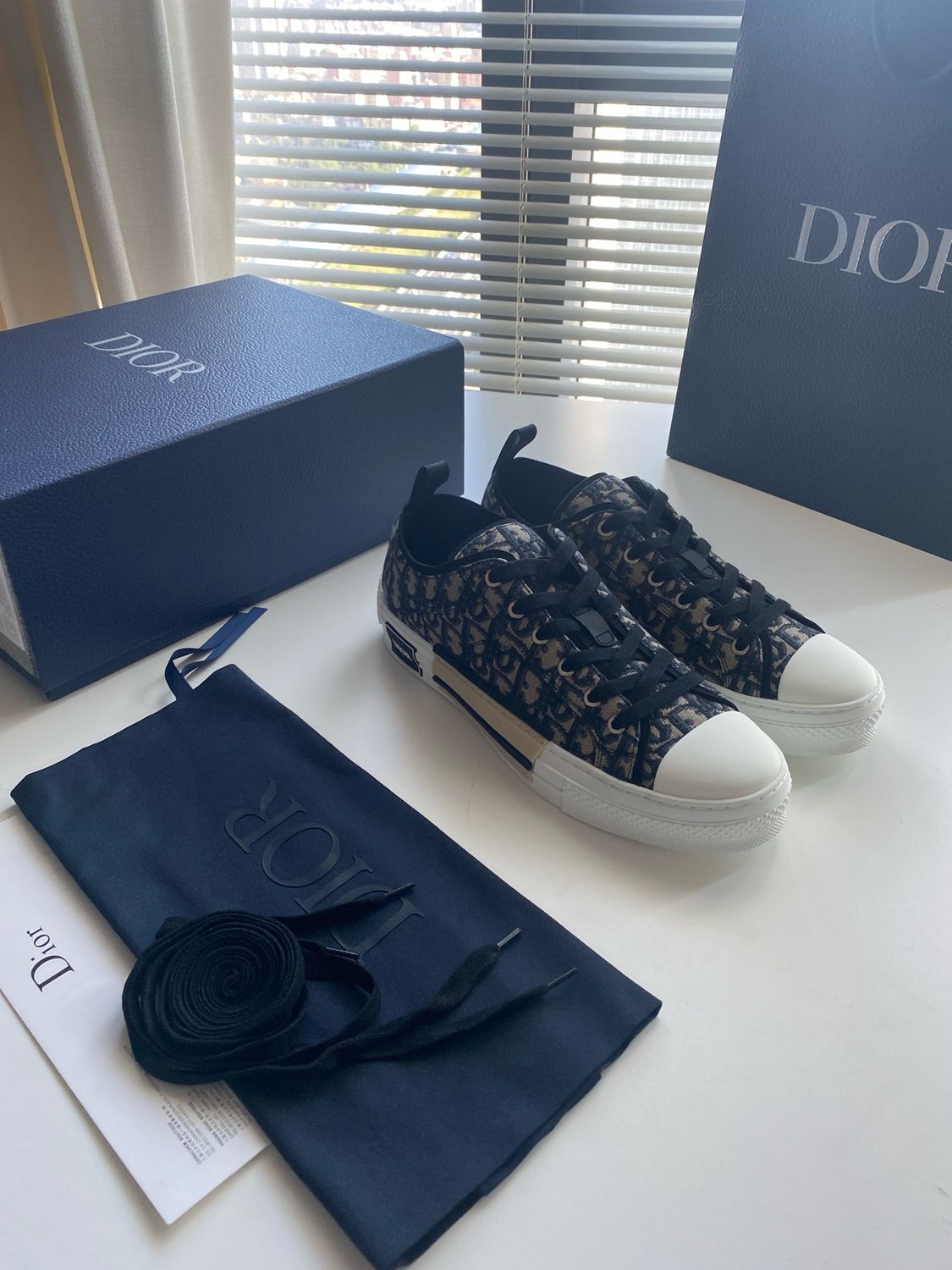 Dior B23 Low
