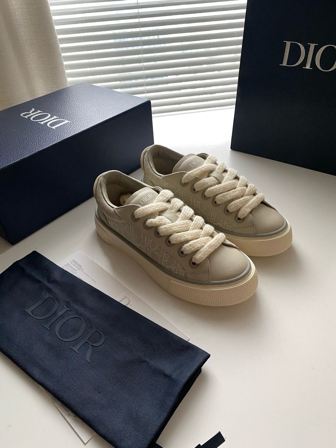 Dior B33