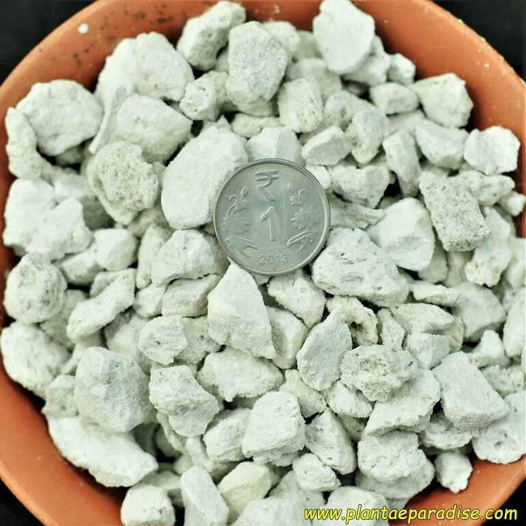 12 kgs in stone cheap