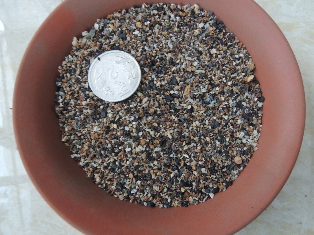 Cactus Seed Planting Mix