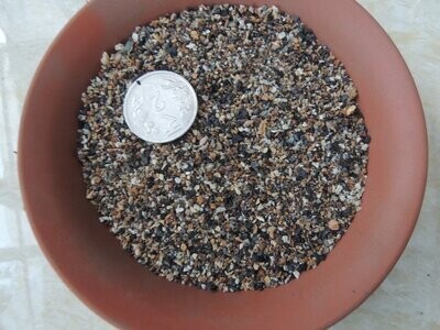 Cactus Seed Planting Mix