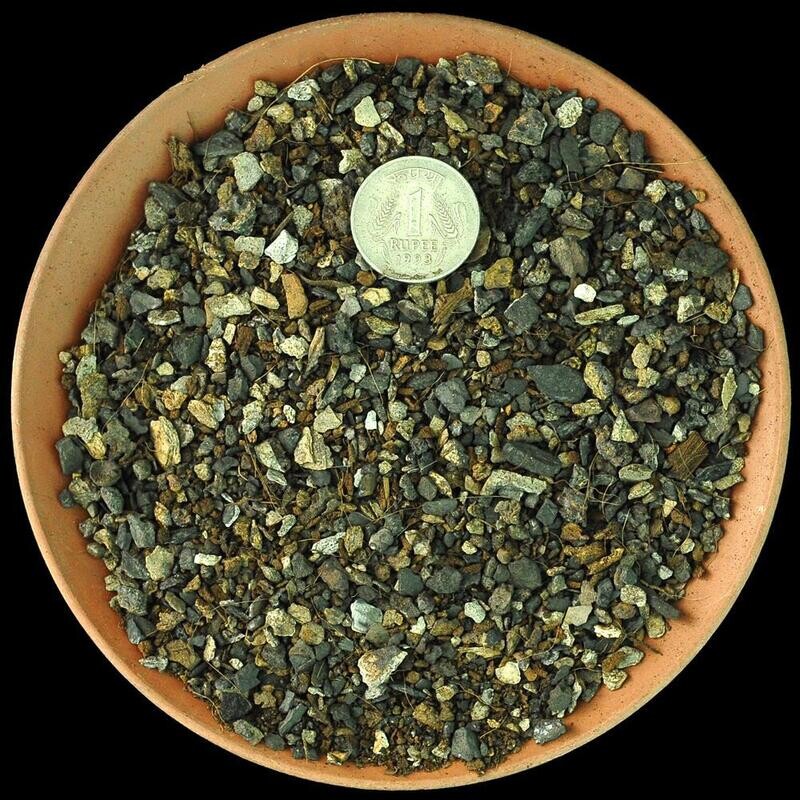 FORTIFIED Cactus & Succulent SOIL (COARSE)