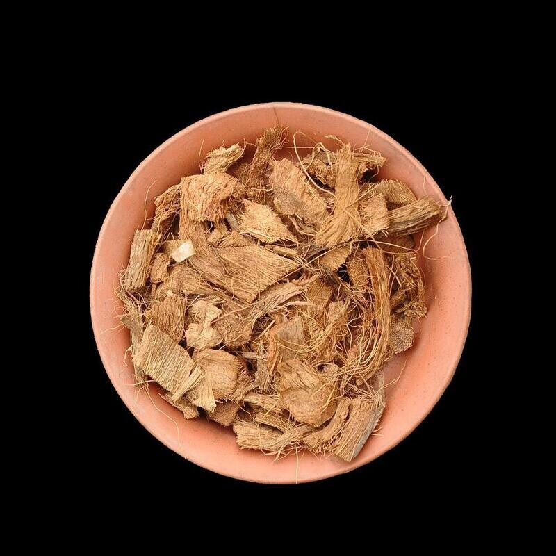 Coco Chips Large  (16-24)