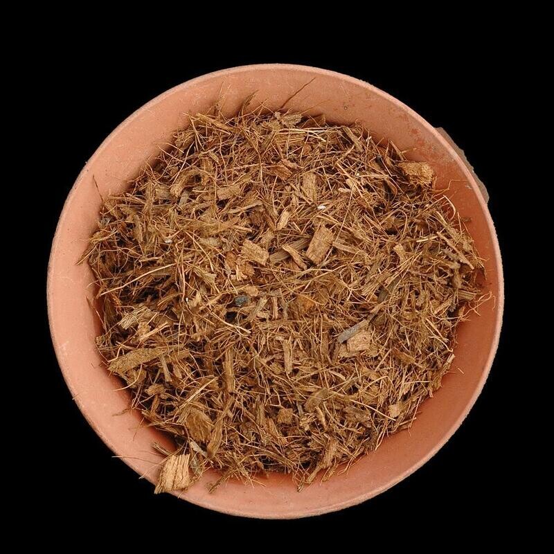 Coco Chips Small with Fibre 7C(2-12)
